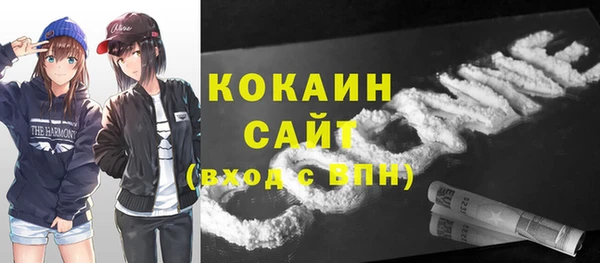 стаф Богданович
