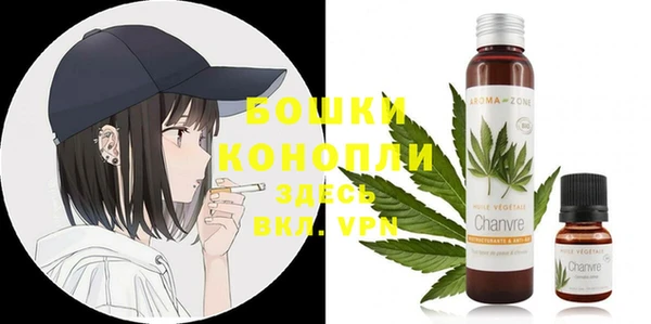 стаф Богданович