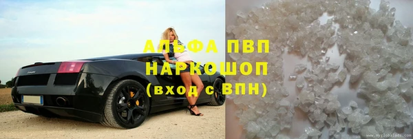 экстази Бородино