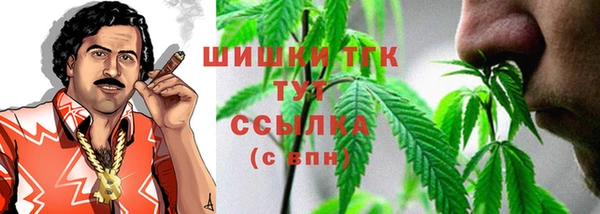 стаф Богданович