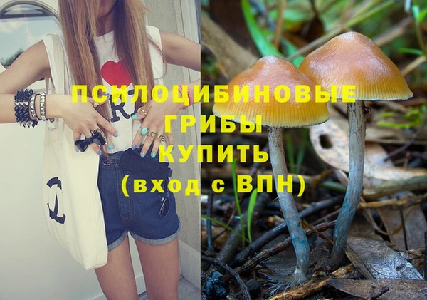 стаф Богданович