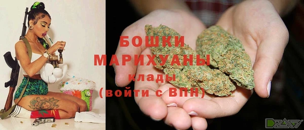экстази Бородино